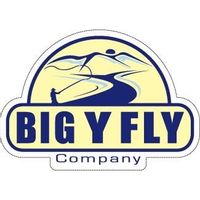 Big Y Fly coupons